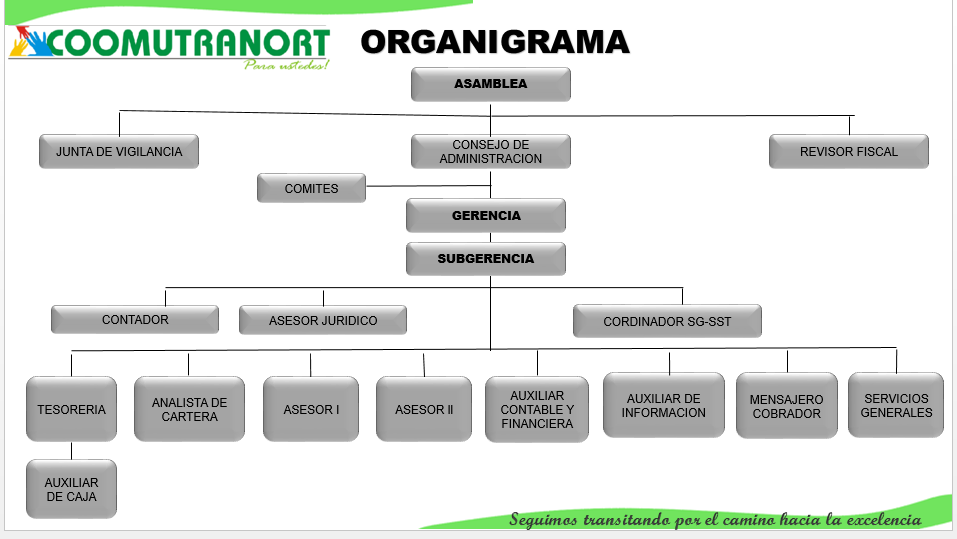 organigrama insercoop